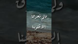 ثم نكتشف أننا لم نجرح أحد سوي أنفسنا