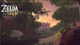 Lost Woods Path, Minshi Woods - Zelda: Breath of the Wild