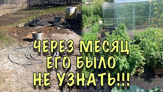 ВСЕ ЛЮДИ СМЕЯЛИСЬ над нашим МАЛЕНЬКИМ ОГОРОДОМ! Теперь ВСЕ ХОТЯТ себе ТАКОЙ ЖЕ! DIY