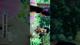 Singham Love Proposal Whatsapp Status