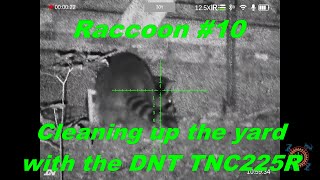 Panda VS DNT TNC225R Thermnight scope #raccoons #ratting #hunting #airgun #thermalhunting #DNT