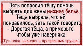 Теща в трусах и зять в примерочной магазина! Анекдоты. Юмор.