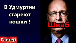 В Удмуртии стареют кошки ! Шваб назвал главных сатанистов ! Помогать Украине , две стороны !#глогер