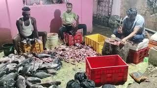 Baripada Fish Cutting Techniques 🔥 Fish Cutting Techniques