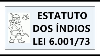 ESTATUTO DO ÍNDIO LEI  6.001/73 DIREITO DOS ÍNDIOS ÁREA CÍVEL CONSTITUCIONAL E CRIMINAL, MAPAMENTAL