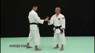 Secret kote maki gaeshi & oshi gote. Shorinji Kempo Juho. Sensei Arai. 少林寺拳法. 武道少林寺拳法