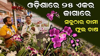 ଓଡ଼ିଶାରେ ୨୫ ଏକର ଜାଗାରେ ଅର୍କିଡ  ଫୁଲ ଚାଷ || How to start commercial Orchid Cultivation in Odisha.