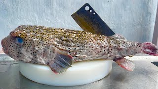 7kg porcupine puffer fish, 6-dish recipe for porcupine puffer fish in the kitchen // Vn Chef