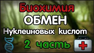 Биохимия. Лекция 46. Обмен азотистых оснований и нуклеотидов. Обмен пиримидинов