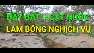 ĐẬY BẠT CẮT NƯỚC LÀM BÔNG SẦU RIÊNG