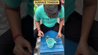 surface tension | science experiments |#science #scienceexperiments