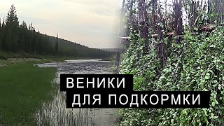 ВЕНИКИ для ПОДКОРМКИ животных.