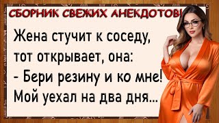 Как муж уехал, а жена давай с соседом! Сборник свежих анекдотов! Юмор!