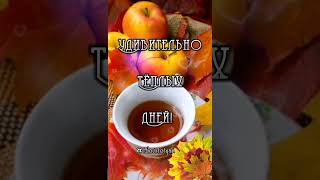 Доброе Осеннее утро! 🍵🍁💞