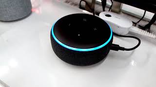 Fragen die man Amazon Alexa Echo stellen kann