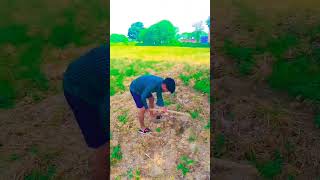 कितना भी कमा लो पैसा और चले जाओ गोवा की रेतो में Kitna bhi Kama Lo Paisa aur Chale jao #viral_video