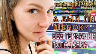 #37 Сбежали из Германии  Что со ЩЕНКОМ и откуда у нас пропитание