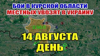 Бои в Курской области. МЕСТНЫХ УВОЗЯТ В УКРАИНУ. 14 августа ДЕНЬ