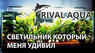 Новый светильник Rival Aqua для 140 л аквариума. Очень приятно удивил!