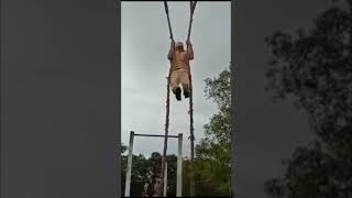 Assam Police commando training Video #videoshort