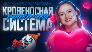 Внутренняя среда. Кровеносная система человека | ЕГЭ-2025 по биологии