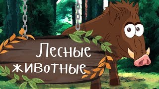 ДИКИЕ ЖИВОТНЫЕ В ЛЕСУ 🐺🦊 Учим животных - развивающие мультики для малышей про животных на русском