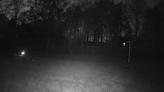 Berm April 2019 Quiet one night, crazy ppl the next w flashlights setting off my solar motion light