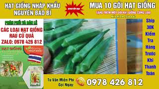 hạt giống đậu bắp xanh nhập khẩu thái lan nguyên bao bì ai cần liên hệ 0978426812