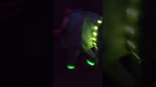 Glow in the dark horse #equestrianlife #horseriding #glowinthedark #shorts