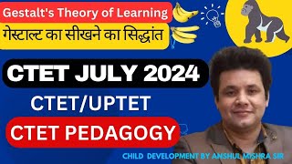 CTET 2024 | Gestalt's Theory of Learning| CTET CDP By Anshul Mishra | गेस्टाल्ट का सीखने का सिद्धांत