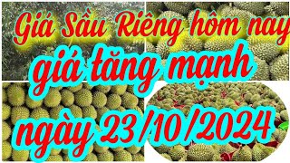 giá sầu riêng hôm nay 23/10/2024