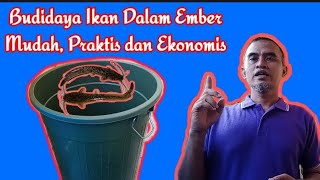 video pembelajaran prakarya kelas XI "Budidaya Ikan dalam ember/Diklamber"