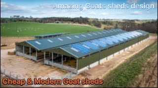 Cheap and cost effective modern Goats sheds | high tech Modern goat farming shed design | cheap shed