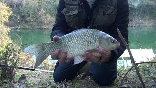 Un giorno a pesca con Topilio