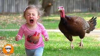 BABY AND  ANIMAL - Crying Babies With Animals Moments - Funny Baby Videos || Just Funniest