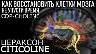 Цитиколин (CDP-choline) Цераксон Обзор Советы ЛУЧШИЙ НООТРОП? Is This The Best Nootropic?