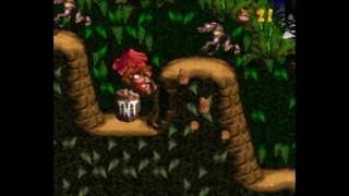 Donkey Kong Country: 101% - Level 1-5: Barrel Cannon Canyon