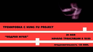 Тренируемся с Kung Fu Project “Бодрая муха” 🐞