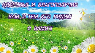 Здоровья и Благополучия Вам, и тем,кто рядом с вами!!!🌺🌺🌺