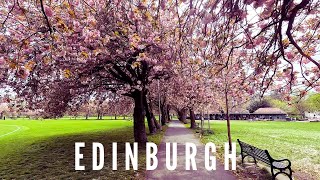 Waktu Yang Tepat Lihat Bunga Sakura Di Edinburgh, Skotlandia || Hidden Gem Tempat Makanan Asia