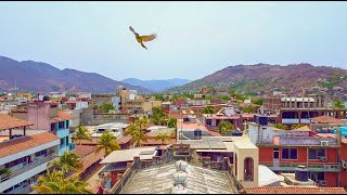 Zihuatanejo, Pueblito Mágico con playa   🌊🌴☀️