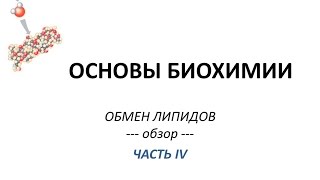 ОБМЕН ЛИПИДОВ - часть 4 - Просто о сложном - Химия