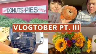 Trip to the vet, cider mill adventures, Trader Joe's haul | Vlogtober Pt. 3 | October 12-17, 2021