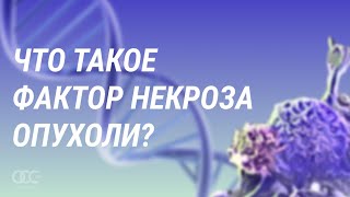 Что такое ФНО?