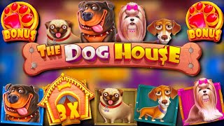 ПОКУПАЮ ДОРОГИЕ БОНУСКИ В РАЗНЫХ ДОГХАУСАХ !!! БОНУСКА ALL IN В The Dog House Megaways !! ЗАНОС???