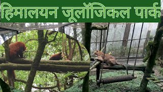 Himalayan zoological park, Darjeeling2021 ,darjeelingtour#Redpanda #bengaltiger #darjeelingzoo #zoo