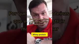 Whey protein.