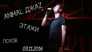 Animal ДжаZ - Этажи. Псков 03.11.2016