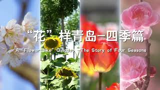 A "Flower-like" Qingdao -The Story of Four Seasons  “花”样青岛-四季篇