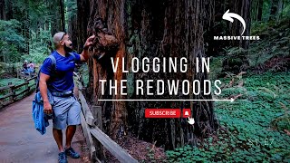 REDWOODS NATIONAL PARK VLOG (#shorts #subscribe #travel #redwoods #forest)